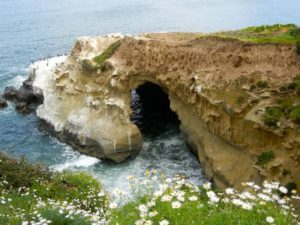 What to do in La Jolla in 2017