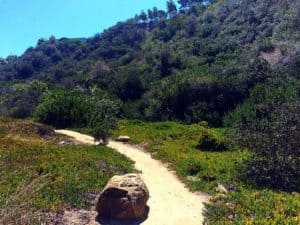 where to ride an electric mountain bike in san diego
